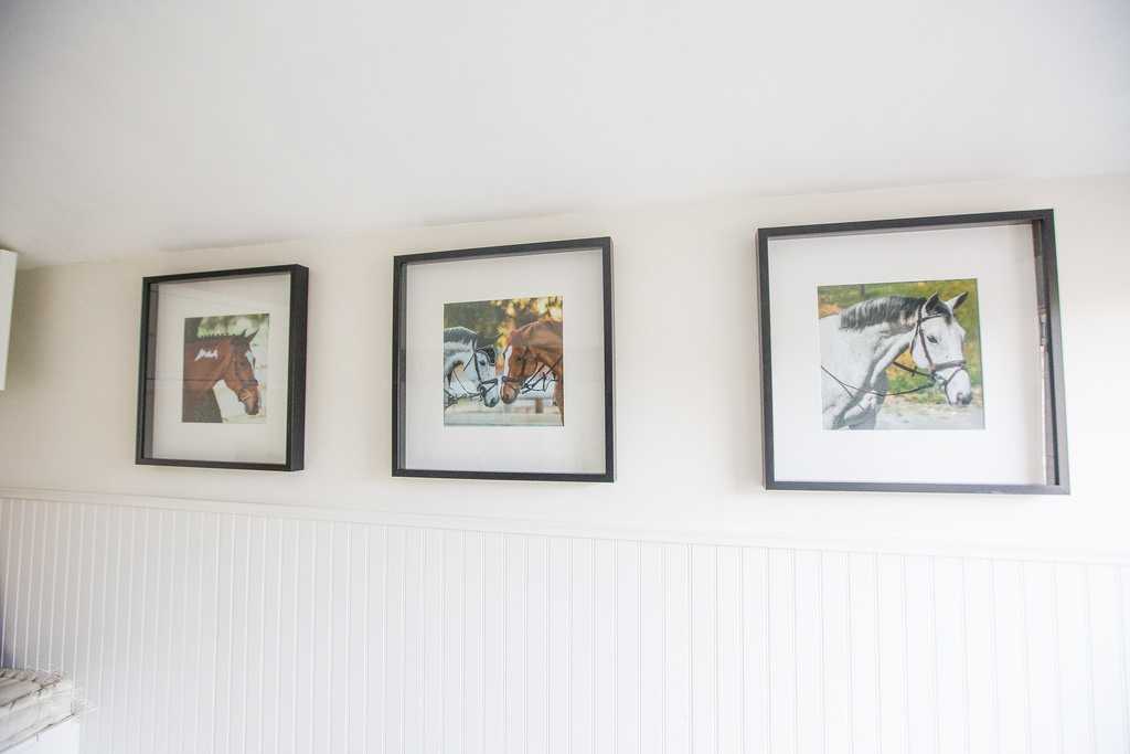 Three framed paintings of horses hang on a white, wainscoted wall. Each picture depicts a horse in a different pose.