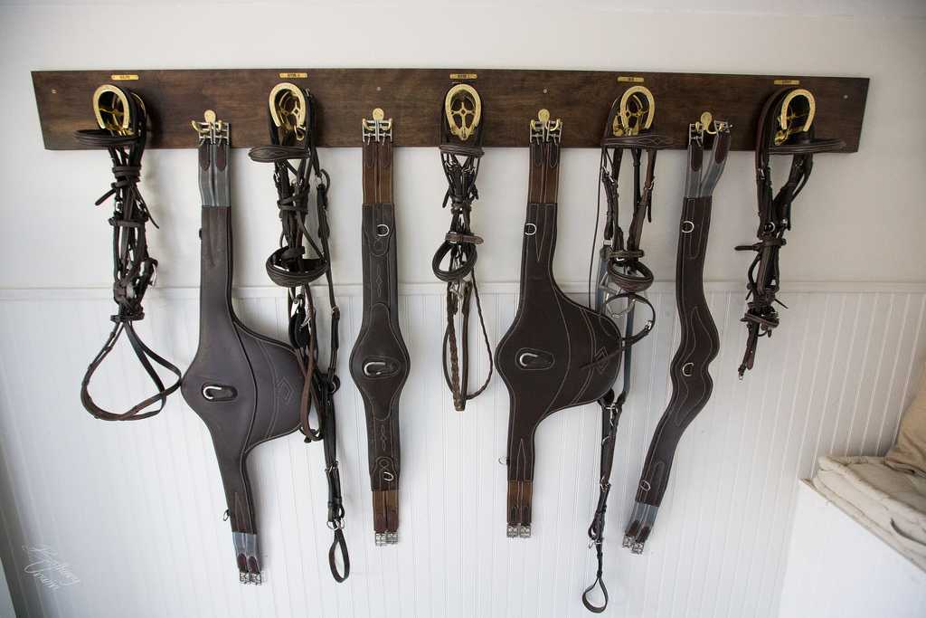 Horse bridles and girths hang neatly on a wooden rack against a white wall.
