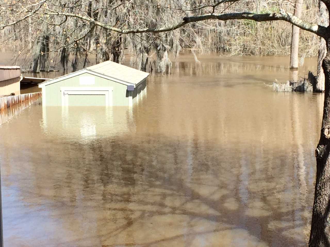 SR600 Submerged in Floodwater A small green building partially submerged in muddy floodwater, surrounded by leafless trees and a wooden fence.