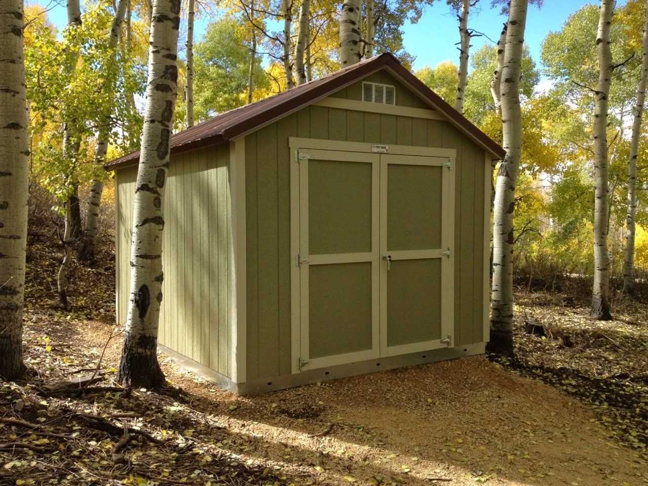 A small green shed with double doors is surrounded by birch trees in a forest. The ground is covered with fallen leaves.