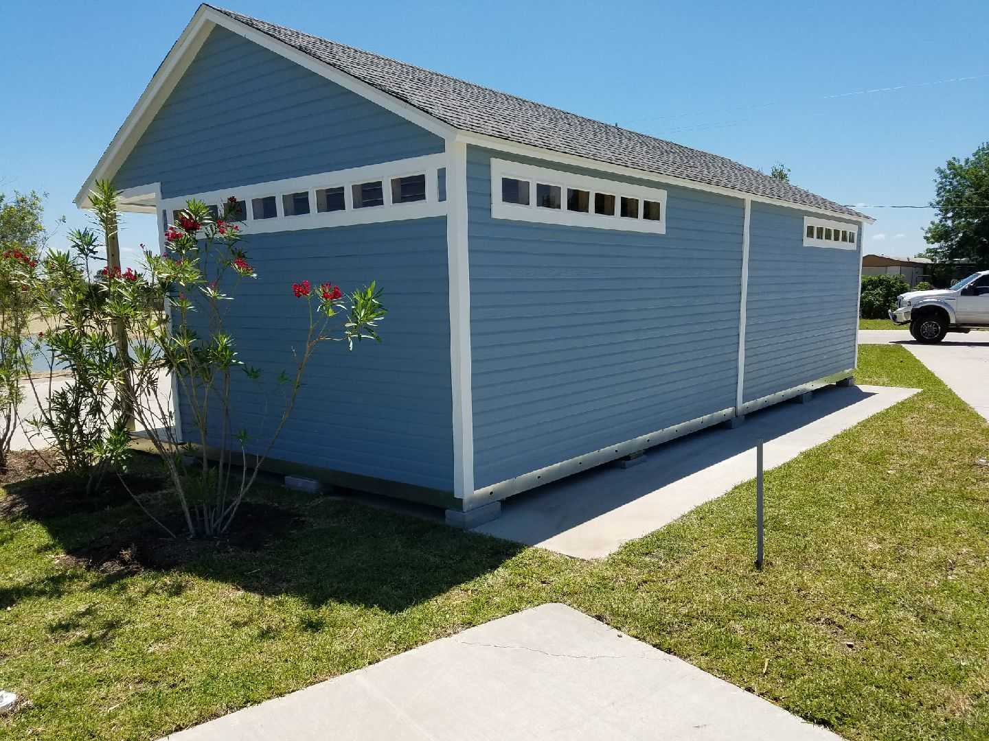 A blue wooden shed with windows sits beside a concrete driveway, under a clear blue sky, with a flowering bush nearby.