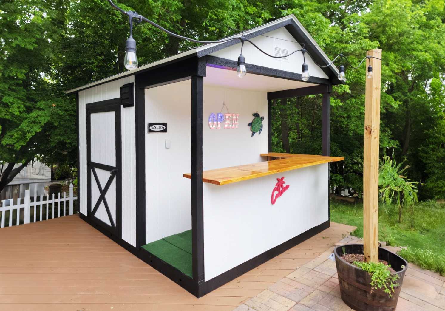 TR-800 backyard with a bar top. Storage door in the back.