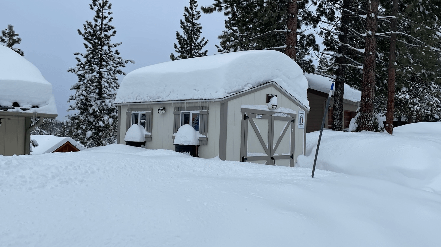 A Tuff Shed building with a snow-covered roof and surrounding area, nestled among tall pine trees on a cloudy day.