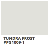 Tundra Frost PPG Paint Card