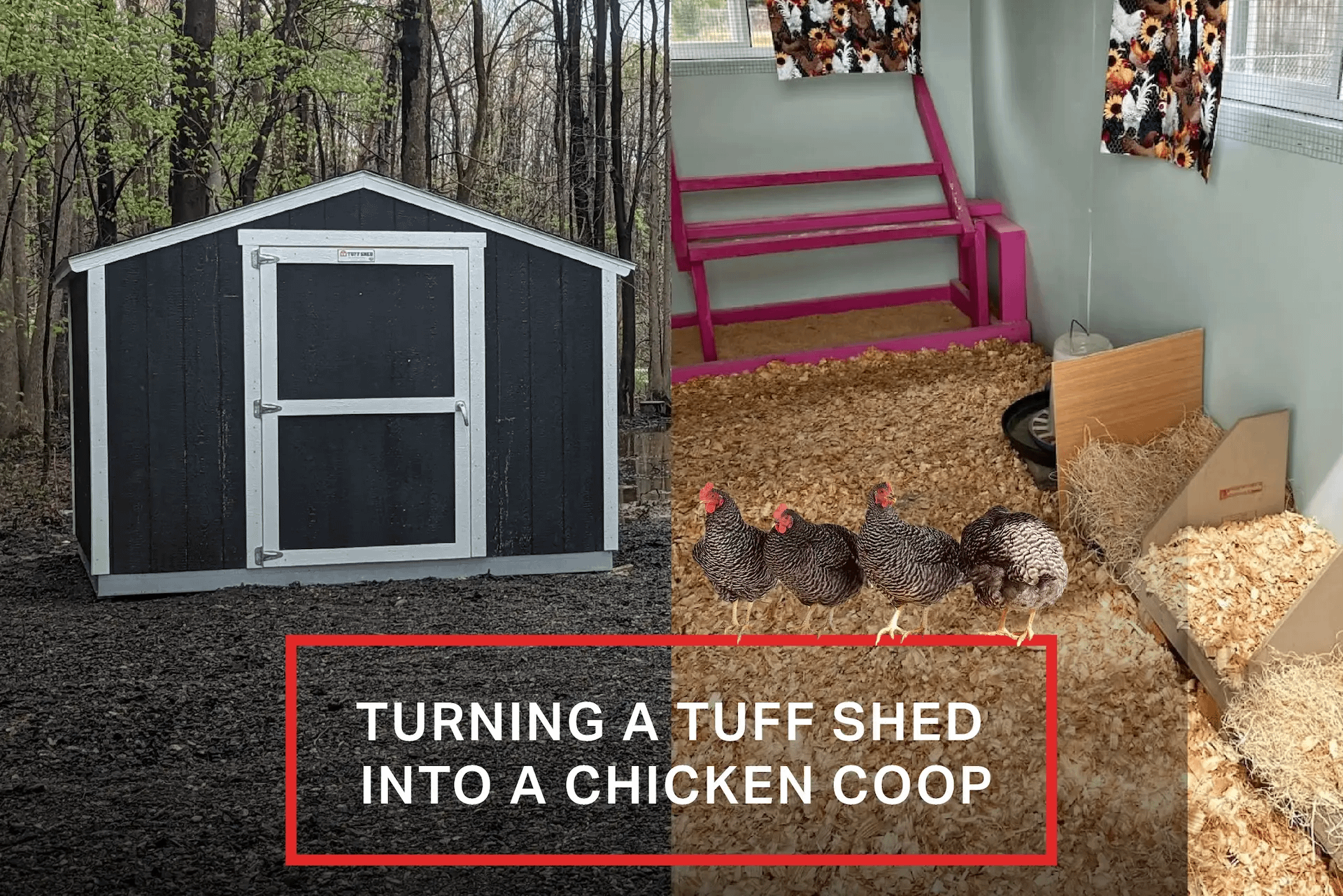 Turning a Tuff Shed into a Chicken Coop hero