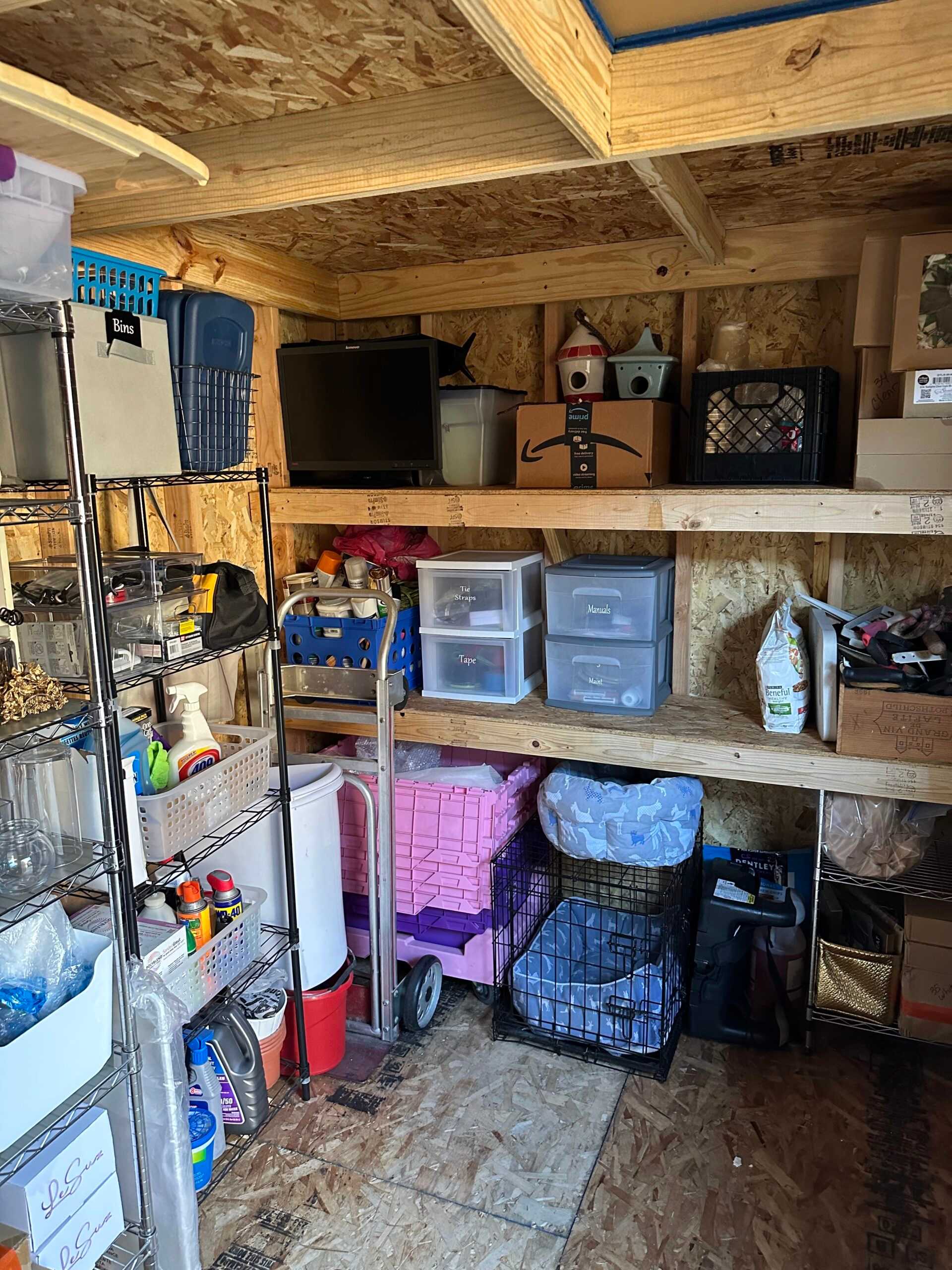 A TR-800 shed used for storage with shelving.