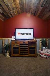 A rustic backyard escape room with a wooden ceiling and red walls features a TV on a wooden cabinet, flanked by plants and decorative items.