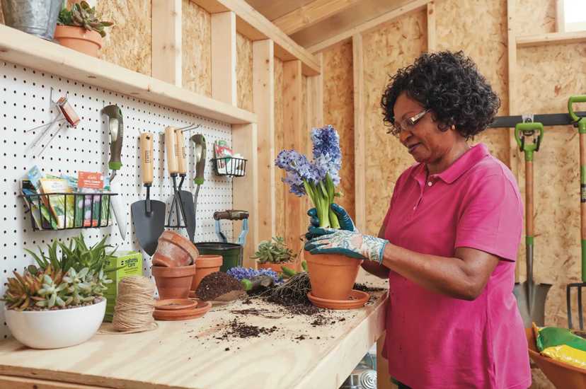 A woman wearing gloves is potting blue flowers on a workbench in a garden shed, surrounded by tools and potted plants.
