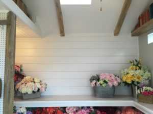 Tr800 Backyard Office Interior shelving 1