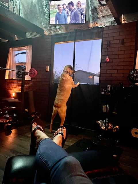 A dog stands on its hind legs looking out a window, while a person with crossed legs relaxes in a dimly lit room with a TV showing a scene.