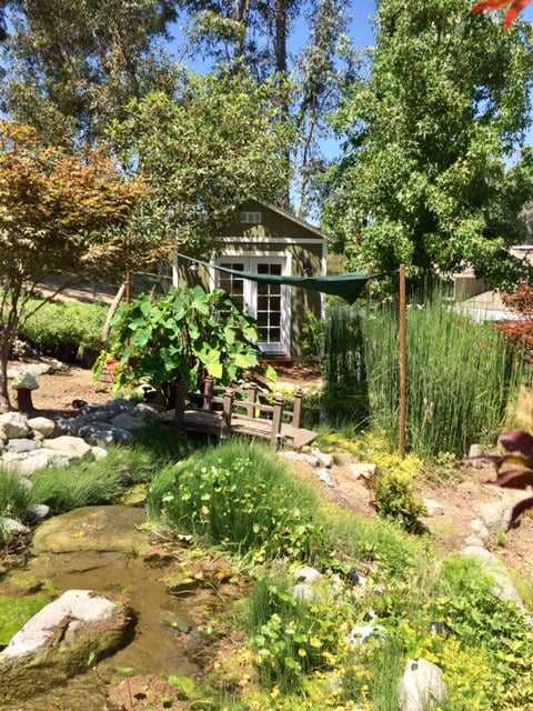 Lush garden with a small pond, greenery, and a wooden TR800 shed in the background